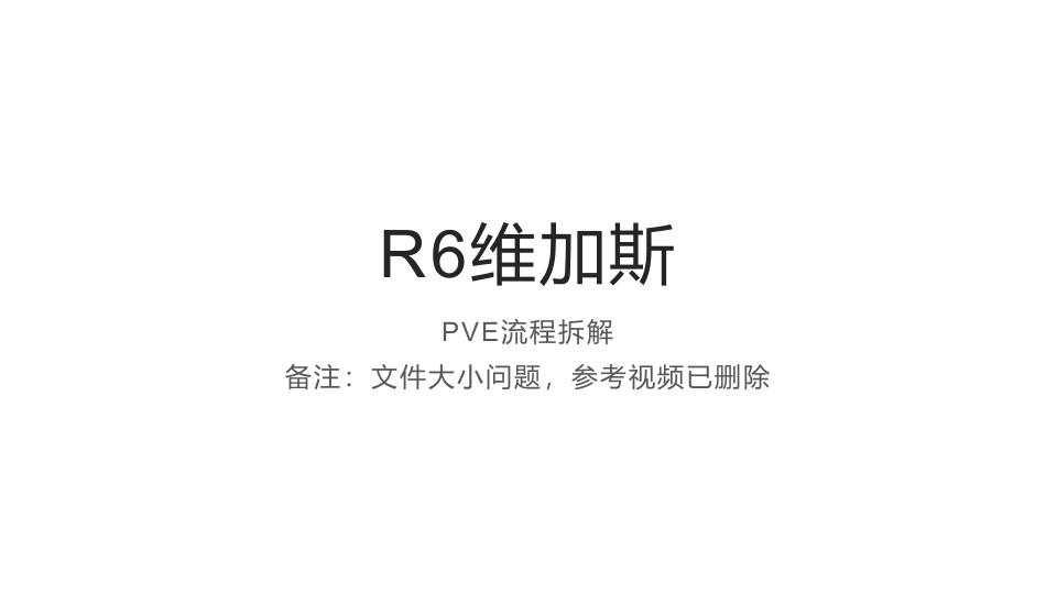 R6维加斯 PDF缩略图